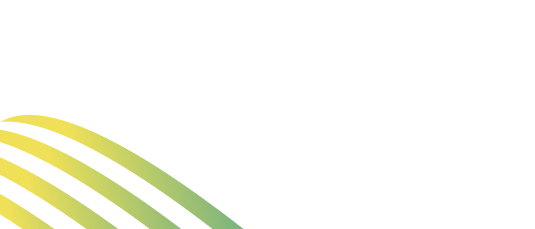 Unlock Digital Success